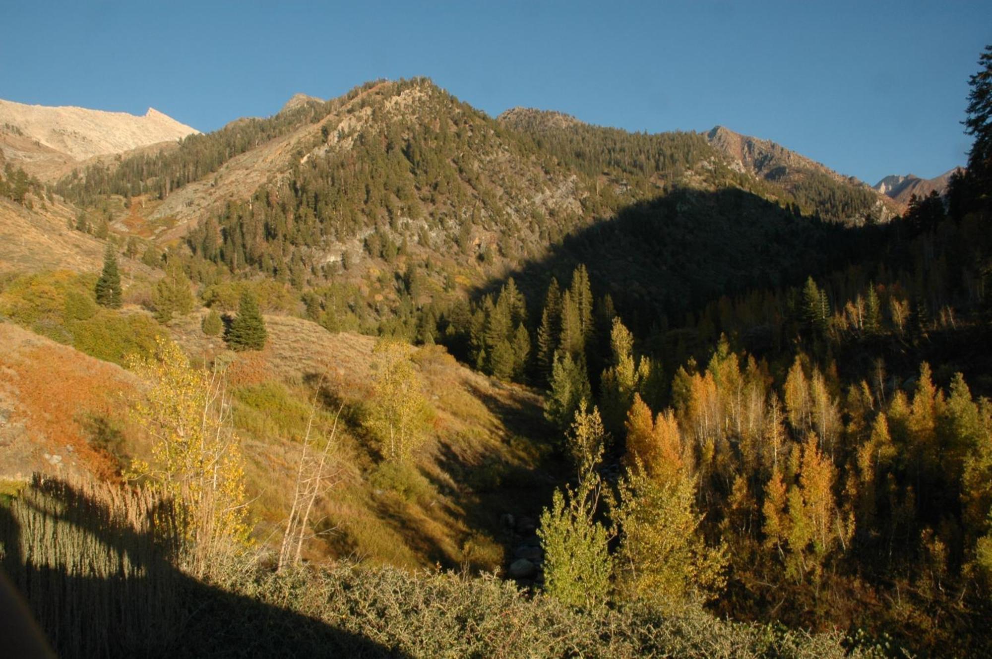 Silver City Mountain Resort Three Rivers Kültér fotó